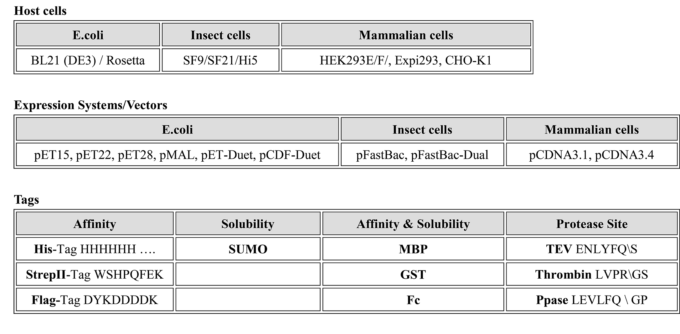 1.2.1-Protein Engineering, Expression and Purification-1.png