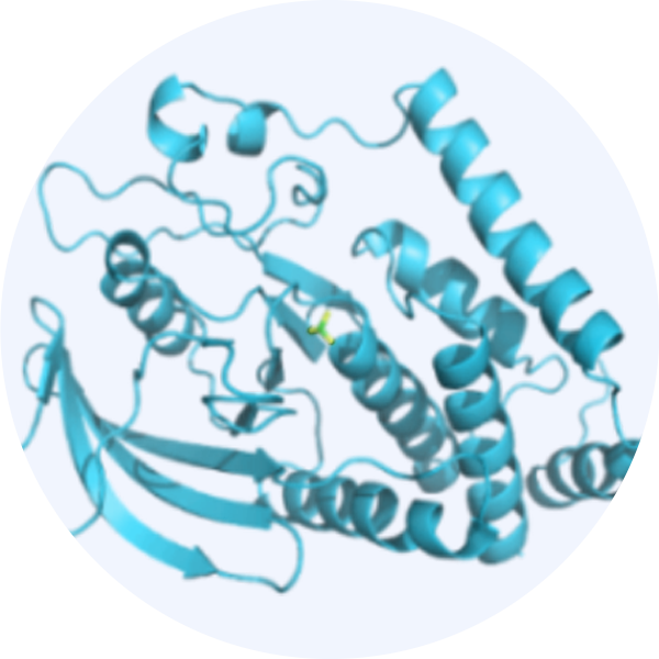 Fragment-based Drug Discovery