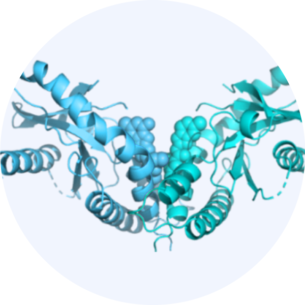 Structural Biology