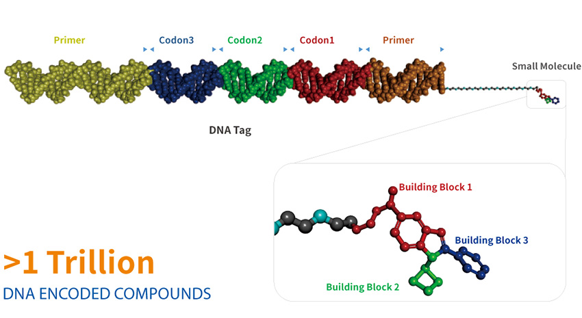 DNA-encoded Library