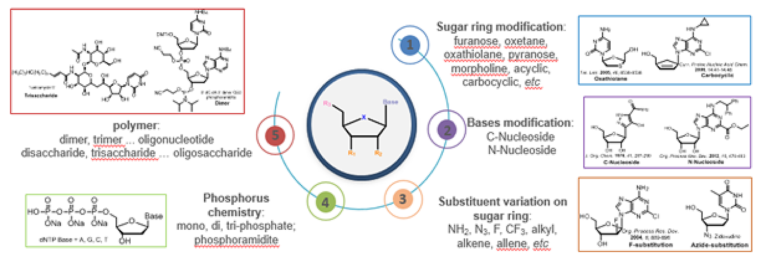 1.3.5-Nucleoside chemistry-1.png