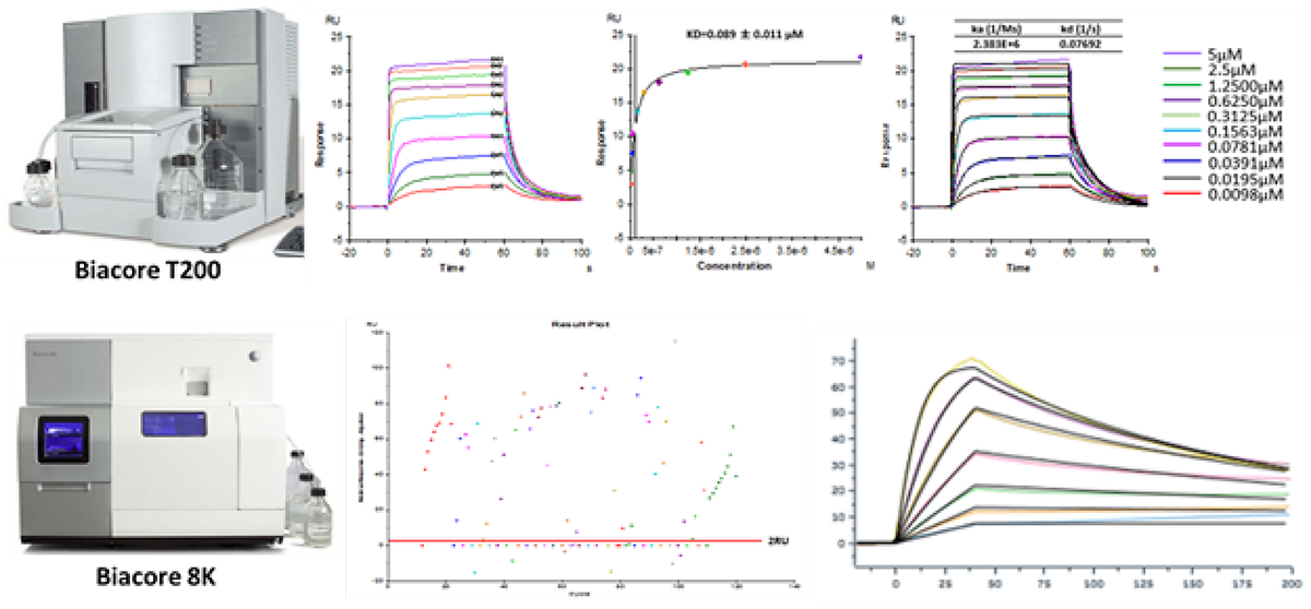 1.4.3-Biophysical Assays-1.png