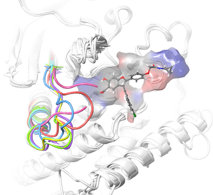 Structure based drug discovery (SBDD) 