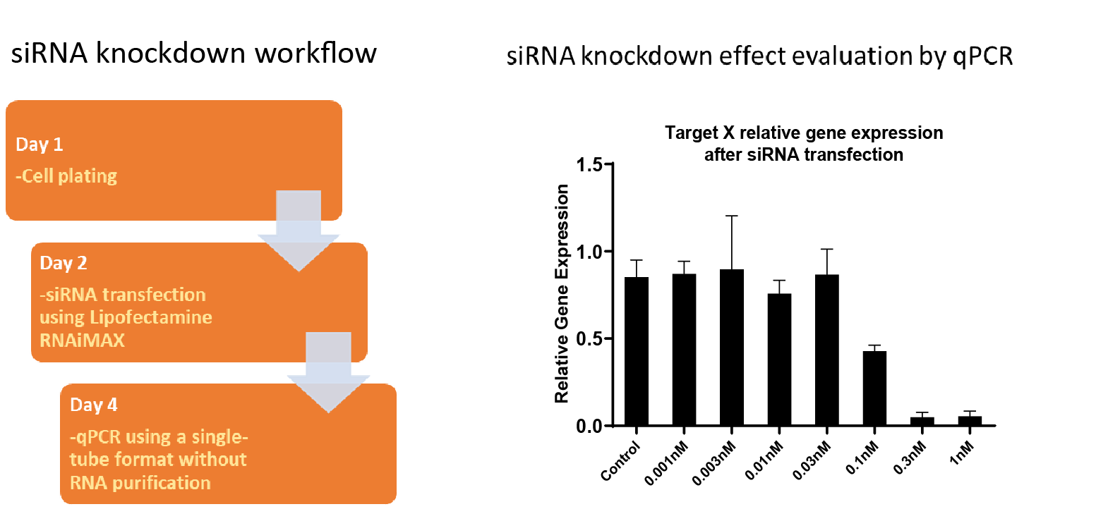 2.1.2-Target knockdown by siRNA-1.png