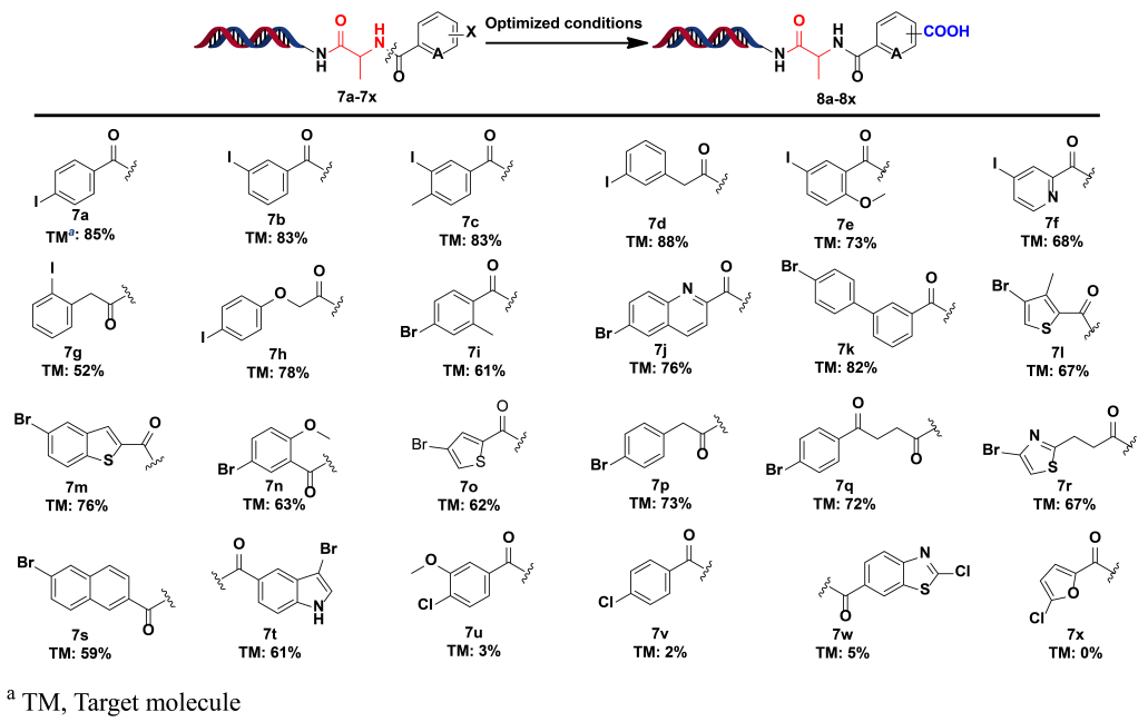 1618381981121663.png 5.png