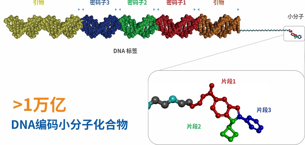 DNA编码化合物库