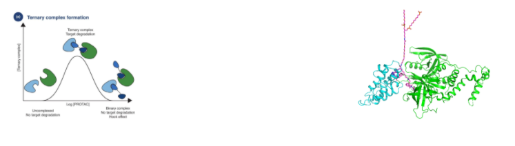 1618463427121147.png image.png