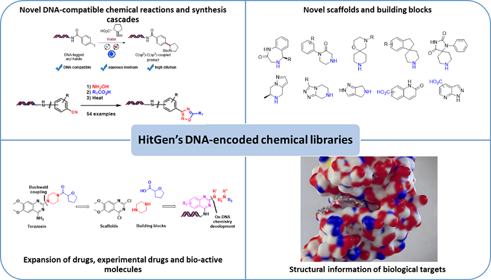 1.1.1-DNA Encoded Library Design.png