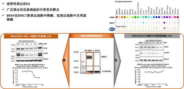 1690792979822213.png image.png