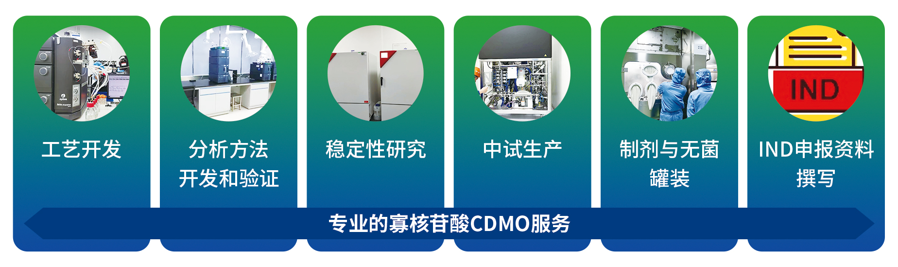 1698736910962285.jpg CDMO服务(1).jpg