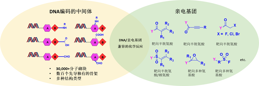 1700534563101264.png image.png