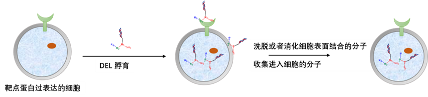 1710834380724242.png image.png