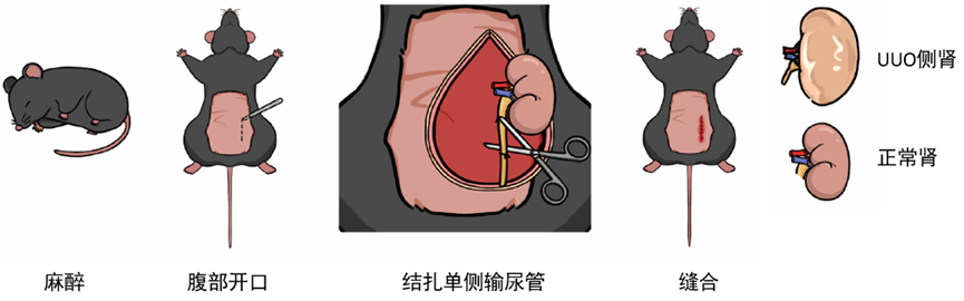 1722214496715888.png image.png