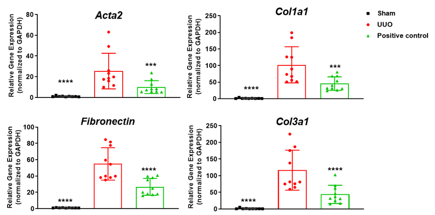 1722214568443374.png image.png