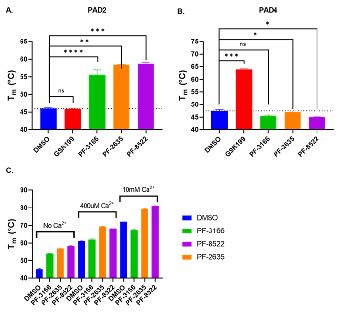 1730683013277593.png image.png