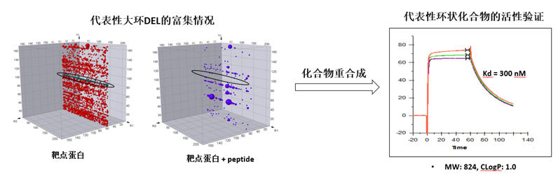 1749524470286919.png image.png
