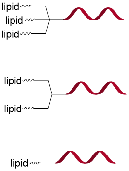 1778122435775879.png image.png